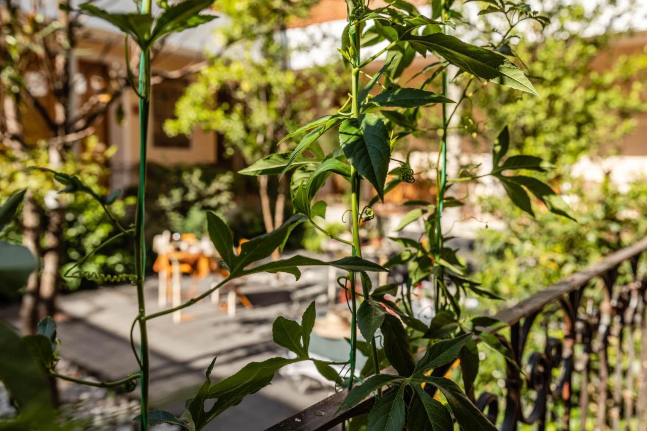 מקסיקו סיטי Casa Tuna מראה חיצוני תמונה